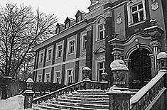 Pa�ac w Czarnym Borze