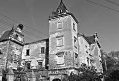 Pa�ac w Nowi�nie