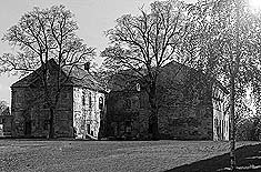 Ruiny pa�acu we Wierzbnej