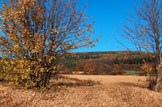 Trasa �widnica - �agiewniki