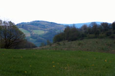 Okolice Nied�wiedzicy