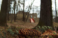 okolice ruin zamku Cisy