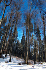 W drodze na Prze��cz Okraj