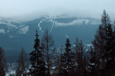 Karkonosze, Szrenica (w oddali wida� nartostrady)