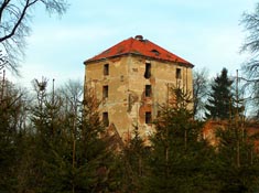 Zamek w Ciep�owodach