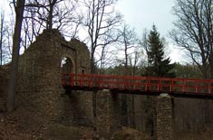 Ruiny Zamku Cisy - Cis�w